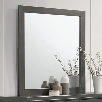 Furniture of America Alison CM7416GY-M Mirror