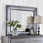 Furniture of America Raiden CM7468GY-M Mirror