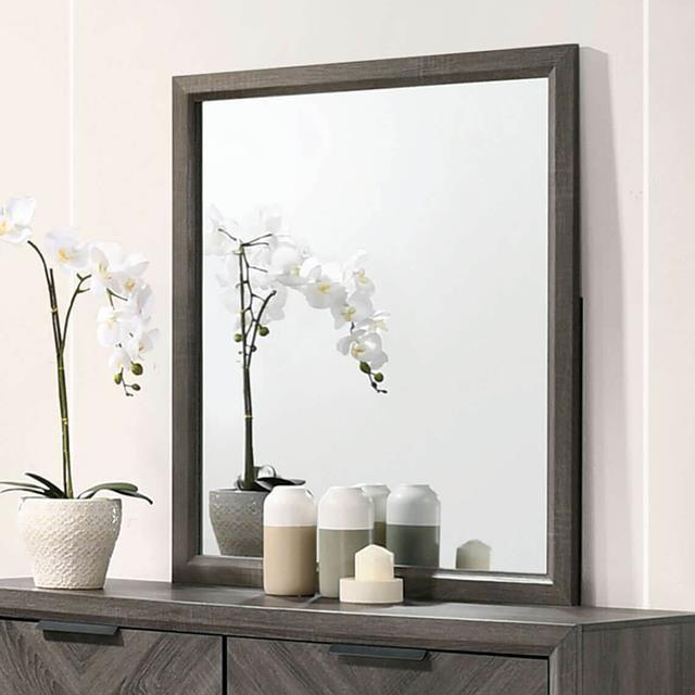 Furniture of America Vagan CM7472GY-M Mirror