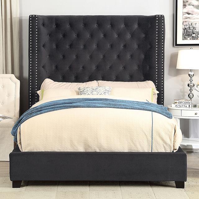 Furniture of America Rosabelle CM7669BK-Q Queen Bed