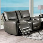 Furniture of America Phineas CM9921GY-LV-PM Power Loveseat