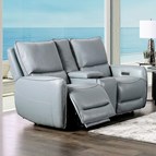 Furniture of America Phineas CM9921PB-LV-PM Power Loveseat