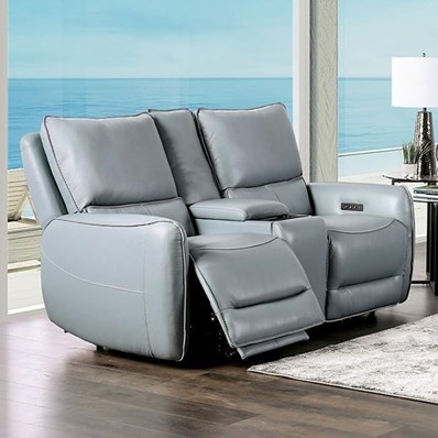 Furniture of America Phineas CM9921PB-LV-PM Power Loveseat