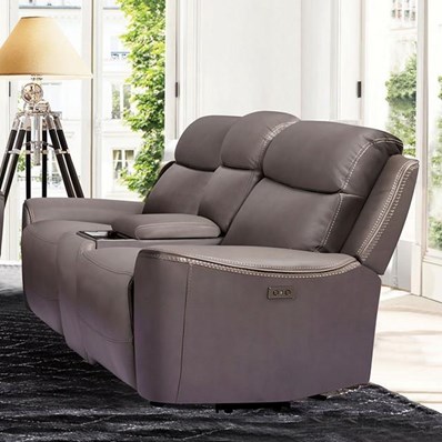 Furniture of America Artemia CM9922GY-LV-PM-PK Power Loveseat