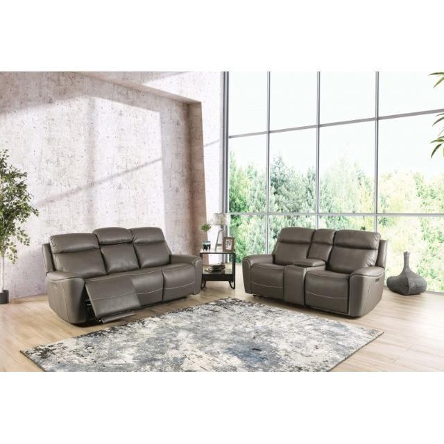 Large Picture of Furniture of America Artemia CM9922GY-LV-PM-PK Power Loveseat