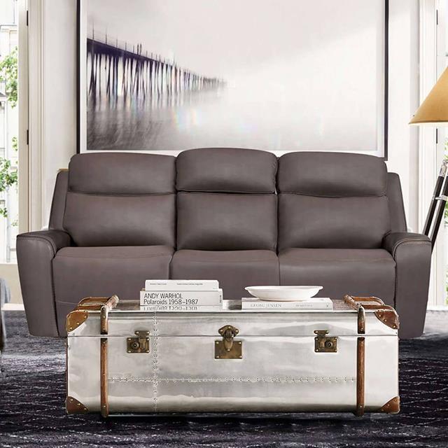 Furniture of America Artemia CM9922GY-SF-PM Power Sofa