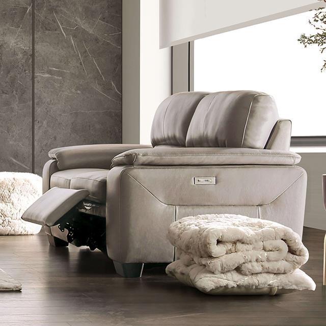 Furniture of America Balderico FM90001TP-LV-PM-PK Power Loveseat