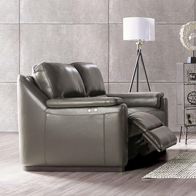 Furniture of America Altamura FM90002GY-LV-PM-PK Power Loveseat
