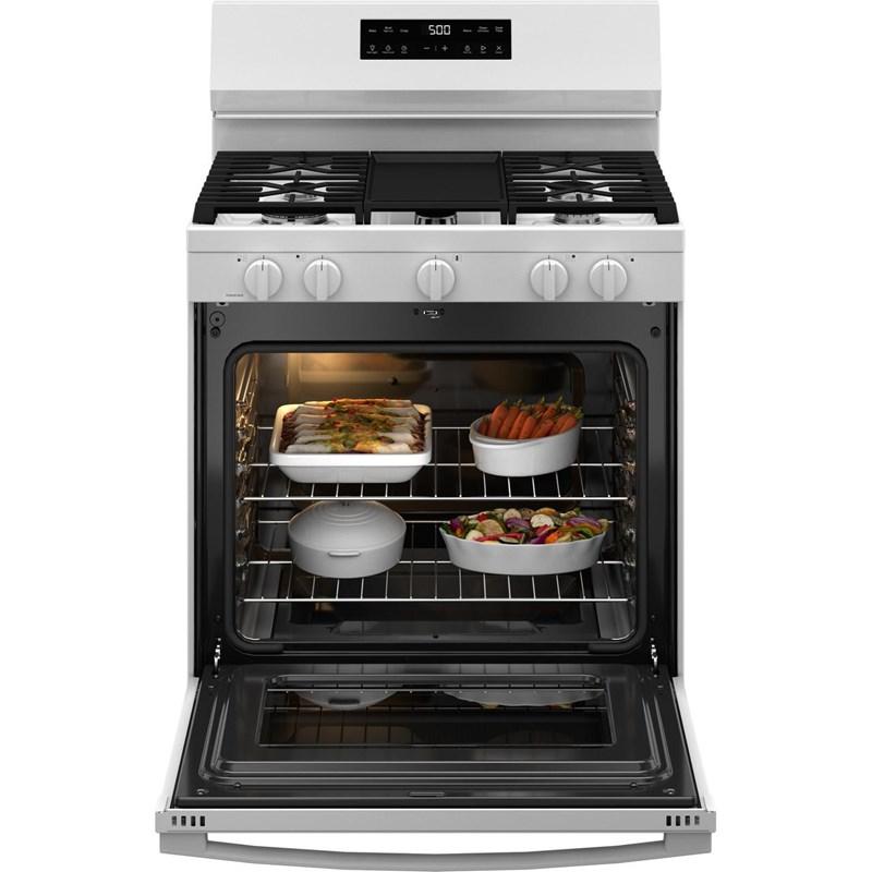 Large Picture of GE GGF500PVWW