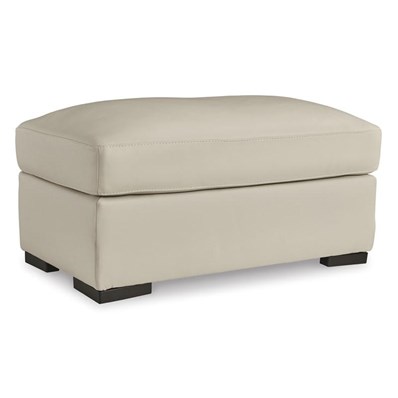 Signature Design by Ashley Treasure Trove 1930414C Ottoman