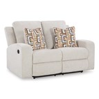 Signature Design by Ashley Danum 3880586C Reclining Loveseat