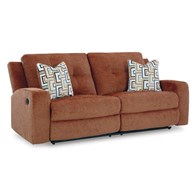 Signature Design by Ashley Danum 3880781C 2 Seat Reclining Sofa (Sofas - Reclining)
