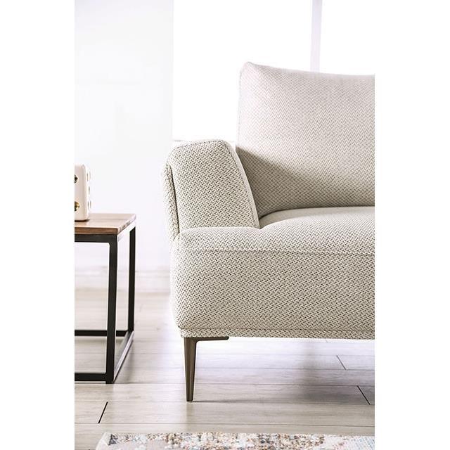 Large Picture of Furniture of America Gladbach FM63007BG-SF Sofa