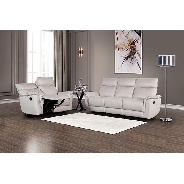 Large Picture of Furniture of America Bienne FM69002TP-CH-M Recliner Chair