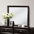Furniture of America Zosimo FM7210BK-M Mirror