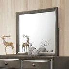 Furniture of America Zosimo FM7210GY-M Mirror