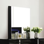 Furniture of America Sinistra FM7211BK-M Mirror