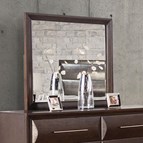 Furniture of America Chemnitz FM7399ES-M Mirror