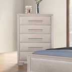 Furniture of America Chemnitz FM7399WH-C Chest