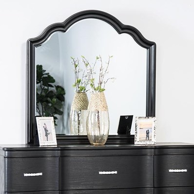 Furniture of America Eleanora FM7416BK-M Mirror