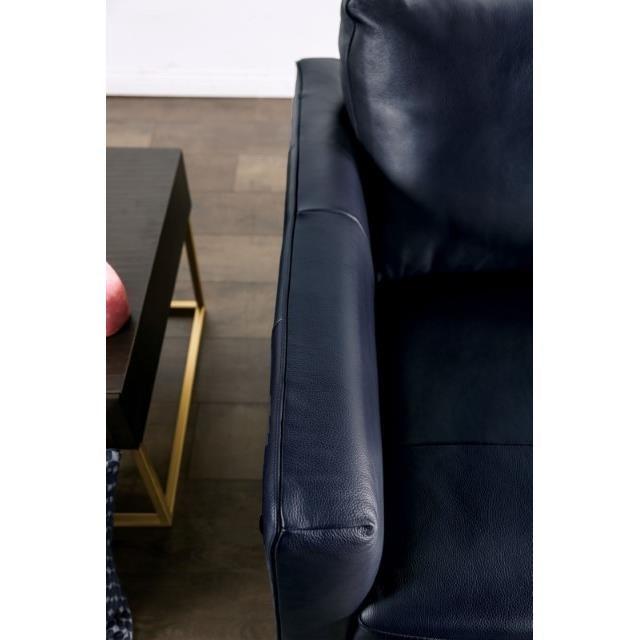 Large Picture of Furniture of America Mezzanotte FM90000-CH-PK Chair