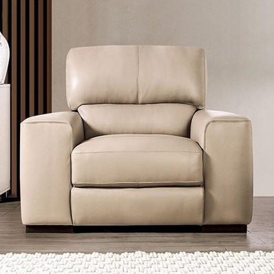 Furniture of America Marsicano FM90005TP-CH Chair
