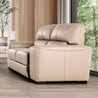 Furniture of America Marsicano FM90005TP-LV Loveseat