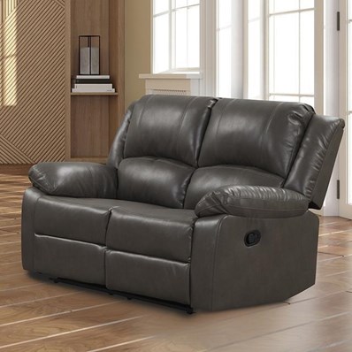 Furniture of America Letha NX6008GY-LV Manual Loveseat