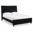 Signature Design by Ashley Danziar B1013B20 Full Panel Bed