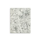 Signature Design by Ashley Tobinbury R407421 Washable Large Rug