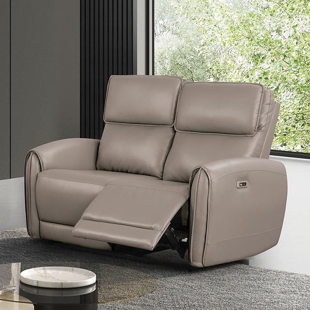 Furniture of America Schlieren FM6012LB-LV-PM Power Loveseat