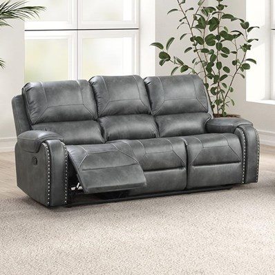 Furniture of America Tepic TM6012GY-SF Sofa