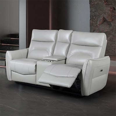 Furniture of America Terentius FM69006TP-LV-PM Power Loveseat