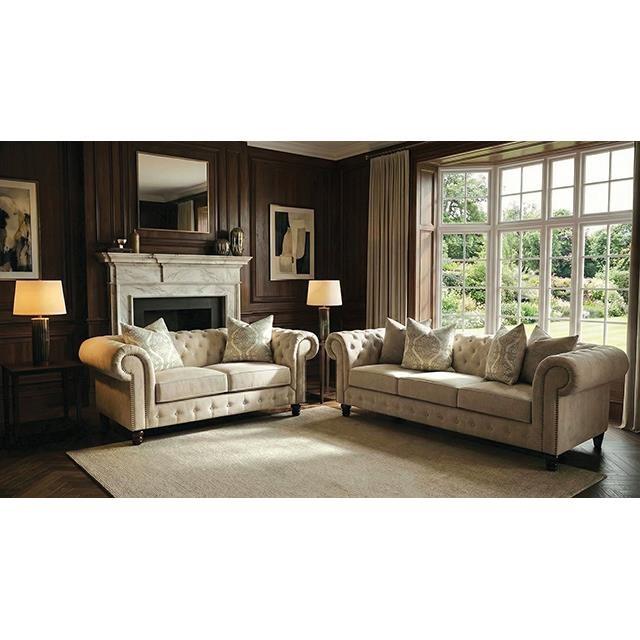 Large Picture of Furniture of America Ammirati FM64011BG-SF Sofa