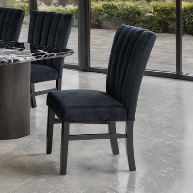 Furniture of America Selsey FM34005BK-SC-2PK Set Of 2 Side Chair