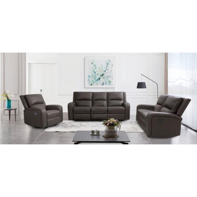 Large Picture of Furniture of America Vasilios CM9914GY-LV-PM Power Loveseat