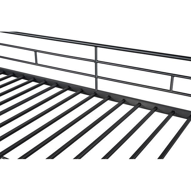 Large Picture of Furniture of America Myles FM-BK910BK-T Twin Loft Bed