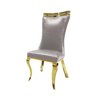 Furniture of America Palazzo FM33011SV-SC-2PK Set Of 2 Chair