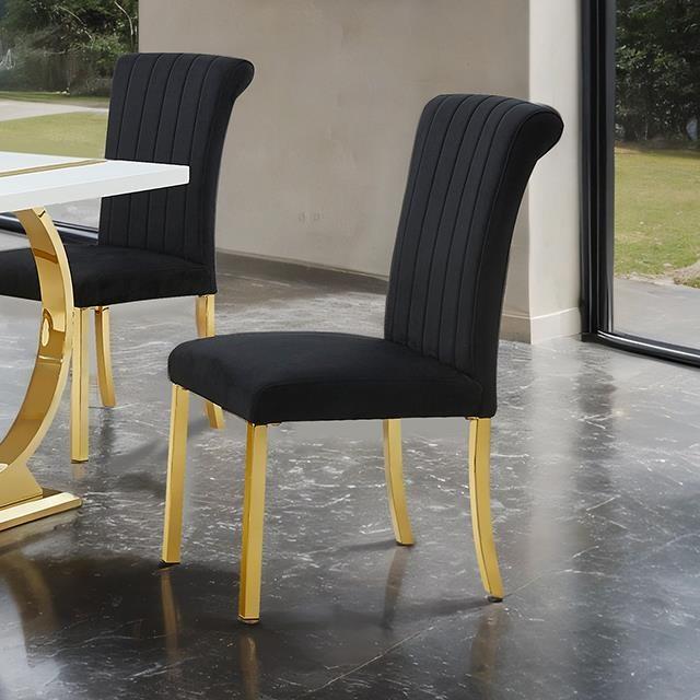 Furniture of America Holstebro FM37007GB-SC-2PK Set Of 2 Side Chair