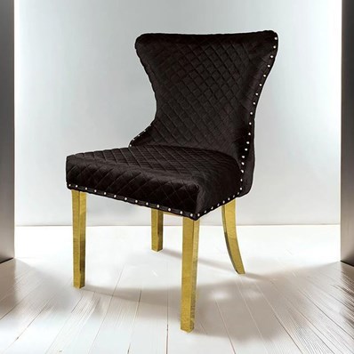 Furniture of America Portanova FM33015BK-SC-2PK Set Of 2 Gold Chair